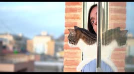 Woman and cat looking at window indoor. Carry kitty animal pet in arms to watch out window from flat or apartment.