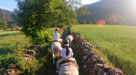 Group of tourist horse riding through nature and green forest and vegetation