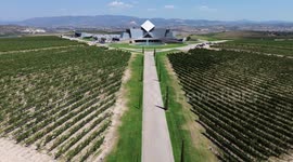 modern wine cellar warehouse and vineyard from aerial drone view