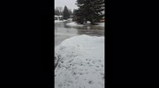 temp
