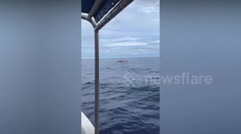 Divers stranded overnight in shark-infested waters are rescued in the Philippines