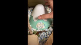 Pet hamster 'engineer' builds its own tower from shredded papers