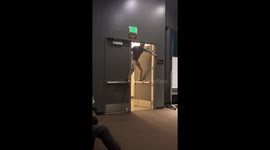 US professor goes all in during game of 'floor is lava' with students
