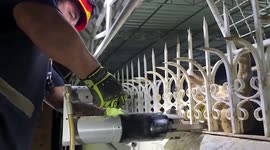 Stray dog stuck on fence rescued by wildlife team