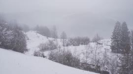 Mystical winter weather with fog in the Black Forest Mountains.
