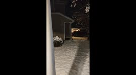 Winter Storm Blair hit Virginia last night and this is the first snowfall of the season! It's been so long since we've had in this state. ❄️