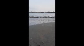 Relaxing waves at Hiratsuka beach near Tokyo captured at sunset.