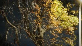 US, Los Angeles: Sylmar Evening Winds