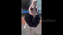 China: Fell Off the Ostrich