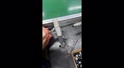 temp