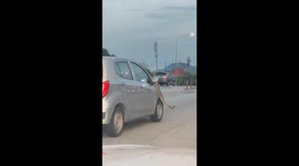 Car speeds along highway with huge PYTHON slithering across roof