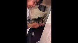 Girl reaches into concrete wall hole to save trapped kitten