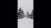 temp