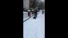 My friend never does anything normal. He dressed in his T-Rex costume to clear out sidewalks when we had a big snow. This is in Washington DC and was filmed on 1/6/2025. I have two more videos of him. One where he’s twerking