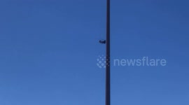 Pacific Palisades Fire January 7 2025 helicopter flying by smoke.