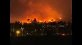 Wildfires Ravage Pacific Palisades, Threatening Santa Monica and Venice