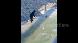 Chinese police officer breaks through ice to rescue drowning dog from freezing water