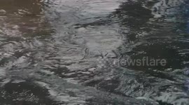 Floods River runs fast