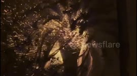 California wildfires 2025: Eaton fire engulfs palm tree