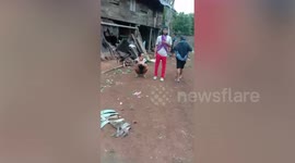 Farmer, 62, trampled to death by wild elephant outside her home in Indonesia