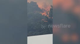 Actor driving into LA fire zones to rescue pets and people left behind