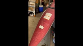 Golden Retriever Traps Head In Food Bag