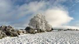 Stunning Frost Covers Trees in Co. Tyrone N. Ireland During Cold Spell