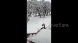 US: Winter Storm Hits Southern States Prompting School Closures, Flight Disruptions