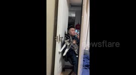 China: Husky Chewing on a Key