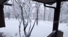 Winter Storm drops 12” of snow in Mountainburg, AR