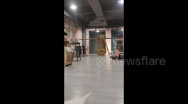 China: Cat With Funny Face Color in the Cat Café