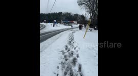 US: Wild Deer Spotted Amid Snowstorm In Atlanta