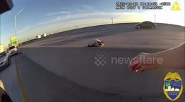 US: Heroic JSO Officer Rescues Cat Stranded on Busy I-95 Bridge