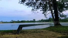 Thai university installs glow-in-the-dark road studs to boost road safety