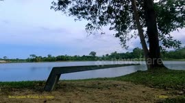 Thai university installs glow-in-the-dark road studs to boost road safety