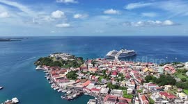 Grenadian PM voices hope for strengthened ties with China over next 20 years