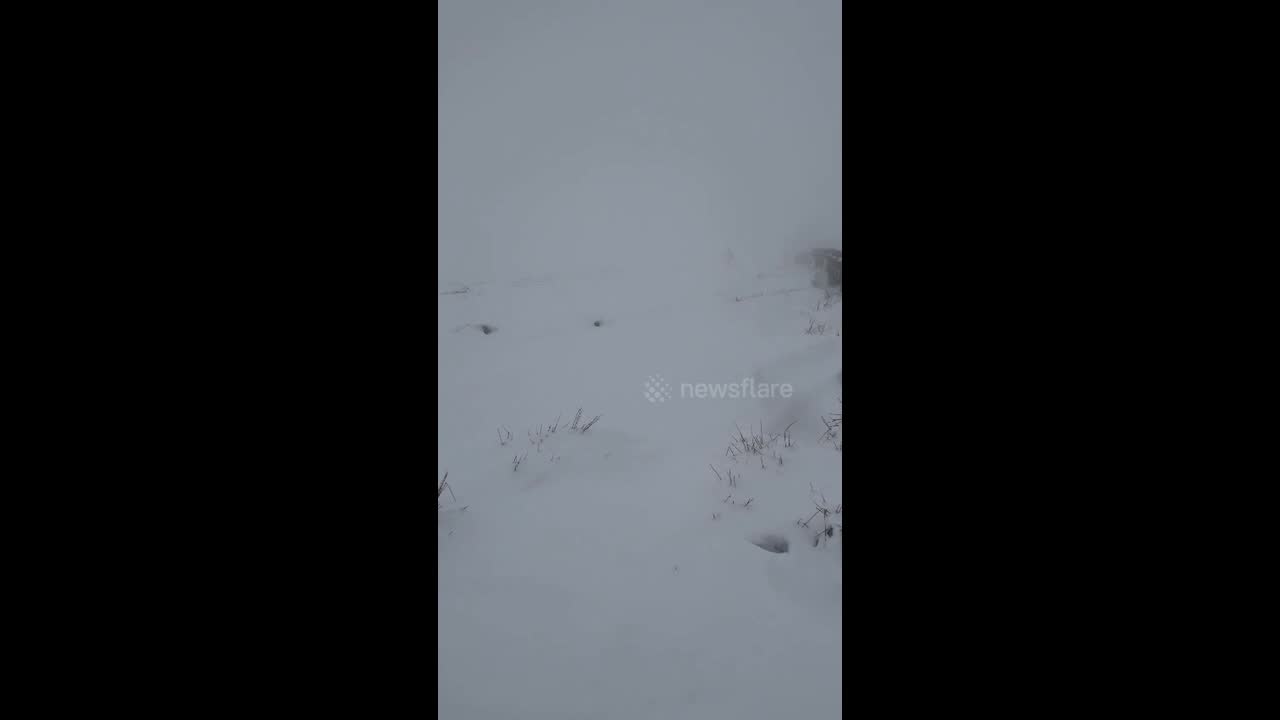 text