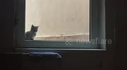 temp