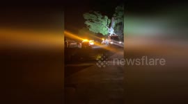 US: Emergency Crews Clear Massive Tree Fallen by Strong Winds in LA