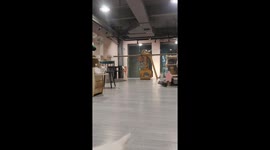 Unusually handsome cat looks like a feline theatre mime