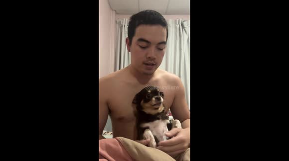 Exclusive: Owner and Chihuahua's synchronized growls amass 2.9 million views on tiktok
