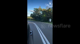 Gangster rapper shows his softer side by rescuing snake stuck in road