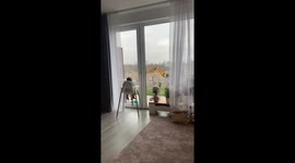 A Little Baby Enjoys Watching an Excavator at Work