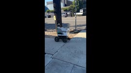 Exclusive- Hilarious moment as delivery robot Nikita gets stuck avoiding people in Los Angeles