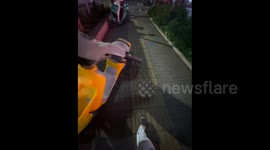 China: The Moment of Deciding to Adopt the Stray Kitten