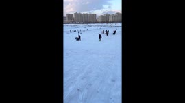 Chinese dad pulls sled unaware of child's position