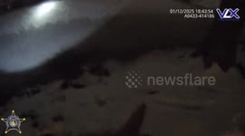 US: Heroic Body Cam Footage Captures NKY Officers Saving Woman From Frozen Pond