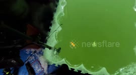 Father cheers on son during ice fishing adventure to spear northern pike in Minnesota