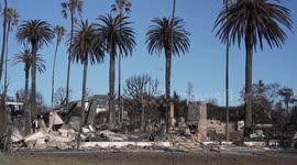 US: Controversy erupts as private firefighters called into rich neighborhoods to fight LA wildfires
