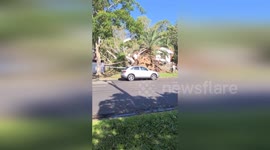 Australia: Fierce Storm Rips Through Brisbane, Uproots Trees and Cuts Power